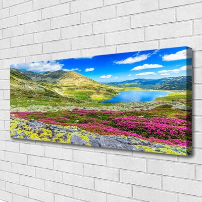 Canvas Kunstdruck Gebirge Bucht Wiese Natur