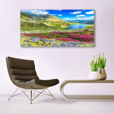 Canvas Kunstdruck Gebirge Bucht Wiese Natur