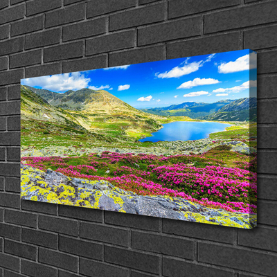 Canvas Kunstdruck Gebirge Bucht Wiese Natur