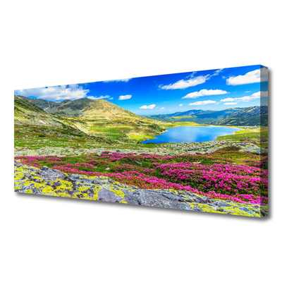 Canvas Kunstdruck Gebirge Bucht Wiese Natur