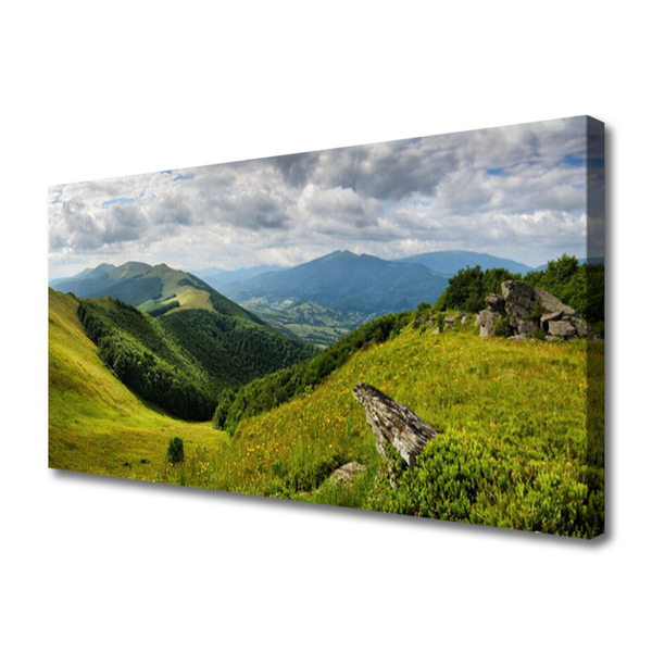 Canvas Kunstdruck Gebirge Wiese Landschaft