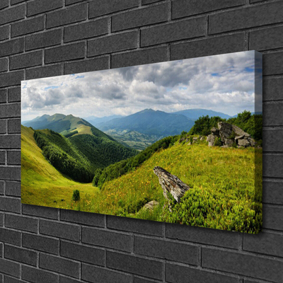 Canvas Kunstdruck Gebirge Wiese Landschaft