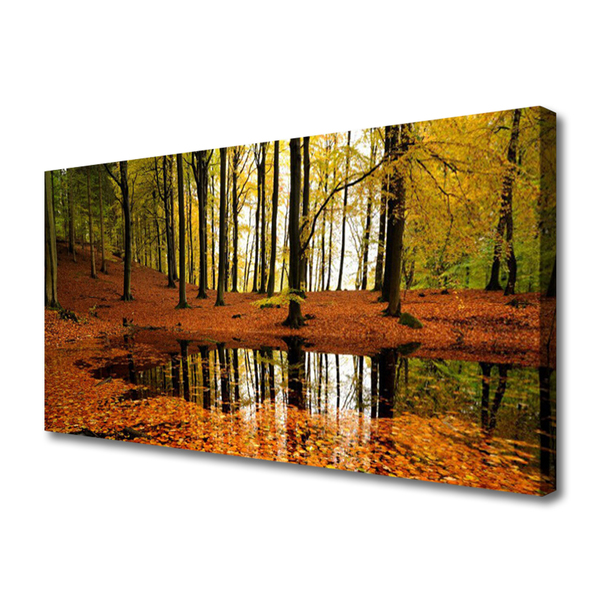 Canvas Kunstdruck Wald Natur