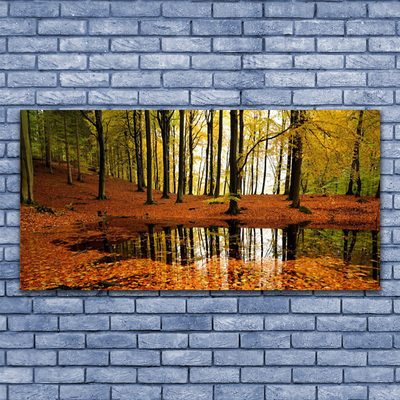 Canvas Kunstdruck Wald Natur