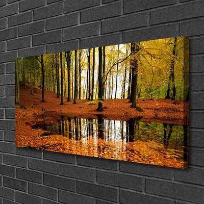 Canvas Kunstdruck Wald Natur