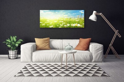 Canvas Kunstdruck Wiese Gänseblümchen Natur