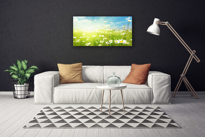 Canvas Kunstdruck Wiese Gänseblümchen Natur