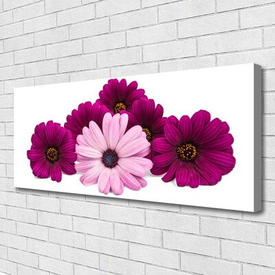 Canvas Kunstdruck Blumen Pflanzen