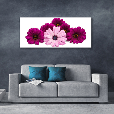 Canvas Kunstdruck Blumen Pflanzen