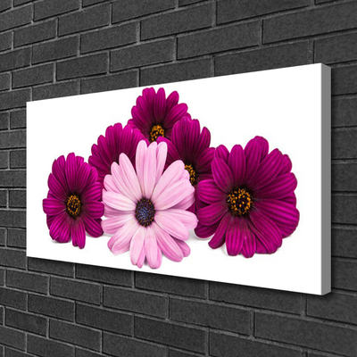 Canvas Kunstdruck Blumen Pflanzen