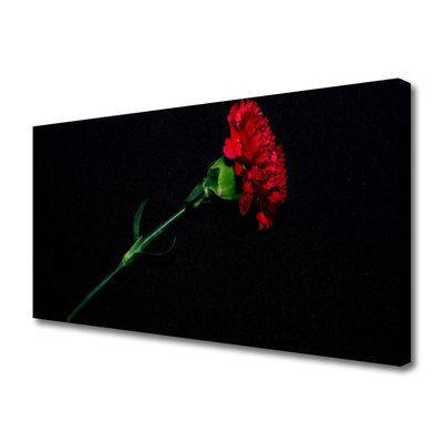 Canvas Kunstdruck Blume Pflanzen