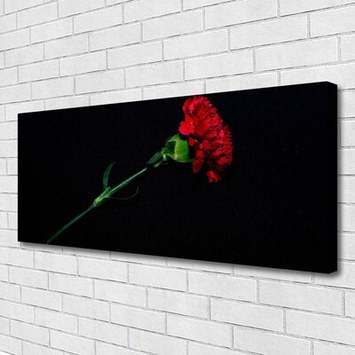 Canvas Kunstdruck Blume Pflanzen