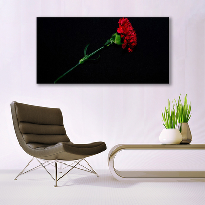 Canvas Kunstdruck Blume Pflanzen