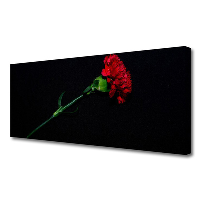 Canvas Kunstdruck Blume Pflanzen