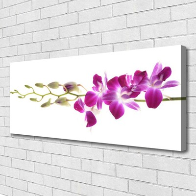 Canvas Kunstdruck Blumen Pflanzen