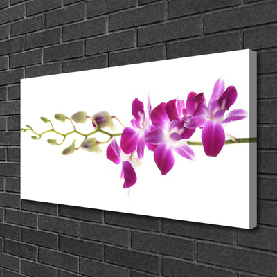 Canvas Kunstdruck Blumen Pflanzen