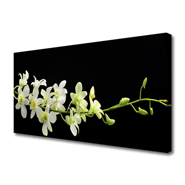 Canvas Kunstdruck Blumen Pflanzen