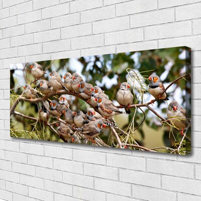 Canvas Kunstdruck Vögel Tiere