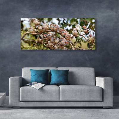 Canvas Kunstdruck Vögel Tiere