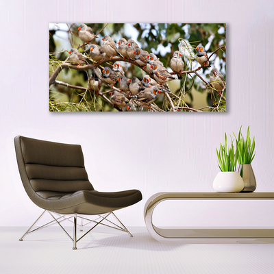 Canvas Kunstdruck Vögel Tiere