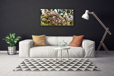 Canvas Kunstdruck Vögel Tiere