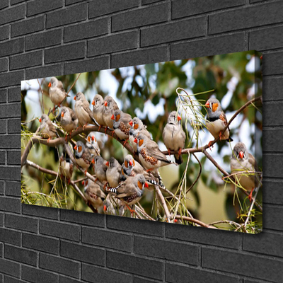 Canvas Kunstdruck Vögel Tiere