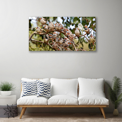Canvas Kunstdruck Vögel Tiere