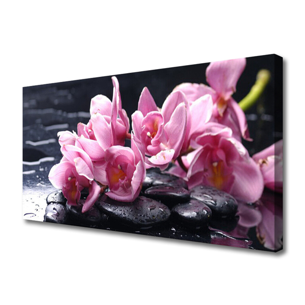 Canvas Kunstdruck Blumen Steine Pflanzen