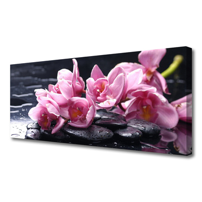 Canvas Kunstdruck Blumen Steine Pflanzen