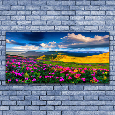 Canvas Kunstdruck Wiese Blumen Natur