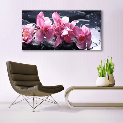 Canvas Kunstdruck Blumen Steine Pflanzen