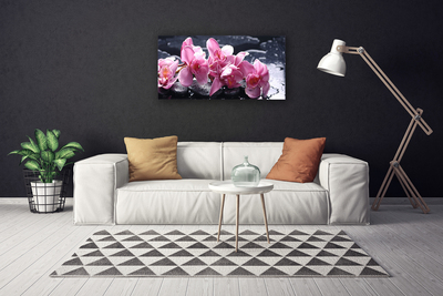 Canvas Kunstdruck Blumen Steine Pflanzen