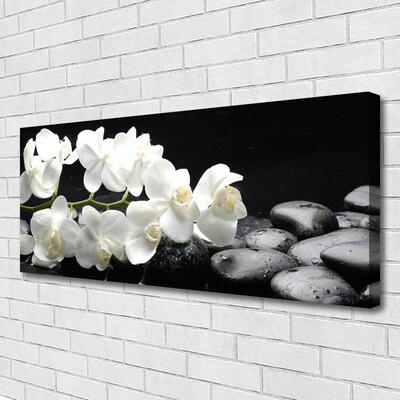 Canvas Kunstdruck Blumen Steine Pflanzen