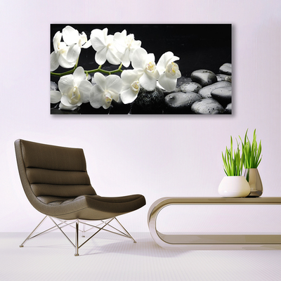 Canvas Kunstdruck Blumen Steine Pflanzen