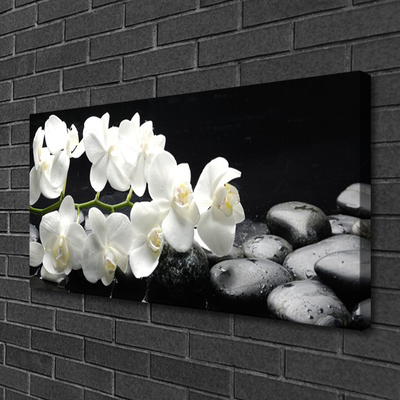 Canvas Kunstdruck Blumen Steine Pflanzen