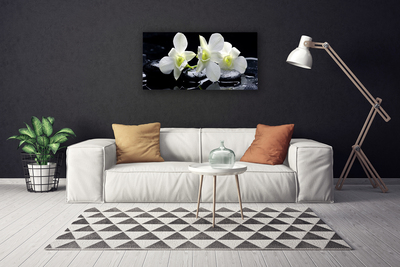 Canvas Kunstdruck Blumen Steine Pflanzen