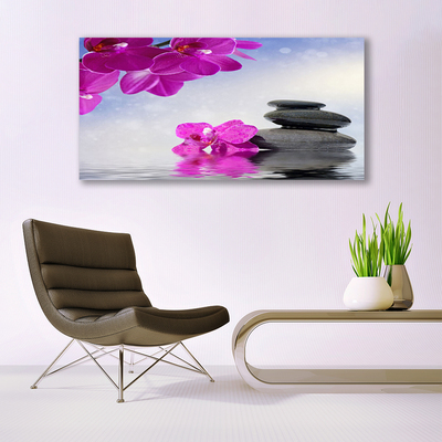 Canvas Kunstdruck Blumen Steine Pflanzen