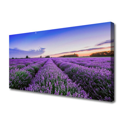 Canvas Kunstdruck Wiese Blumen Natur