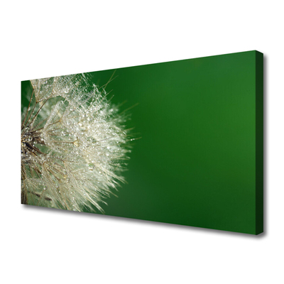 Canvas Kunstdruck Pusteblume Pflanzen