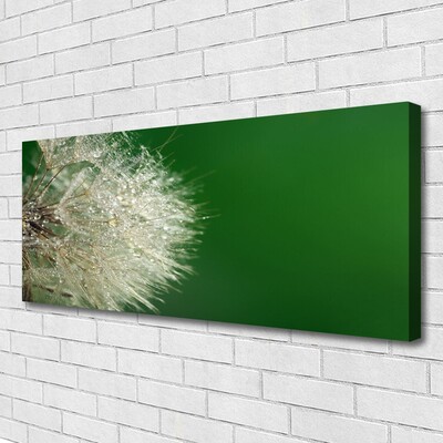 Canvas Kunstdruck Pusteblume Pflanzen