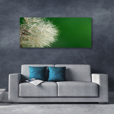 Canvas Kunstdruck Pusteblume Pflanzen