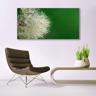 Canvas Kunstdruck Pusteblume Pflanzen