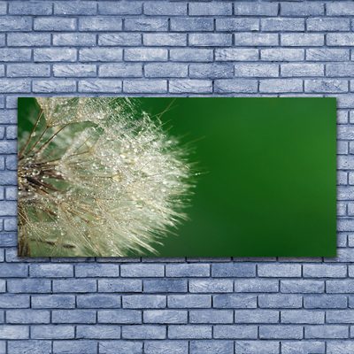 Canvas Kunstdruck Pusteblume Pflanzen