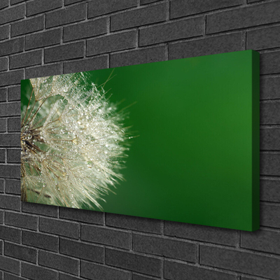 Canvas Kunstdruck Pusteblume Pflanzen