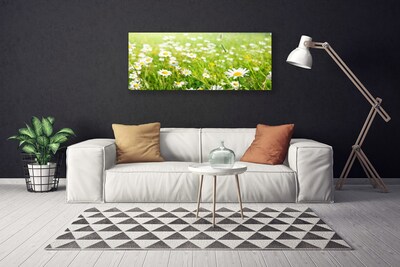 Canvas Kunstdruck Wiese Gänseblümchen Natur