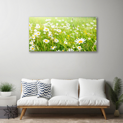 Canvas Kunstdruck Wiese Gänseblümchen Natur