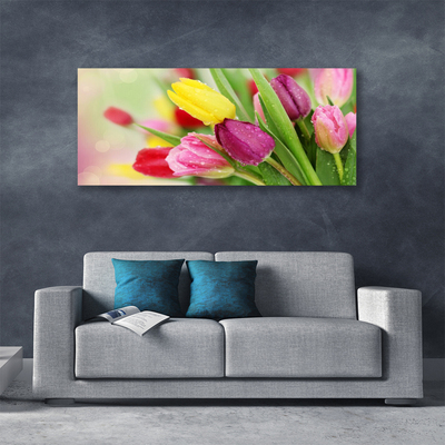 Canvas Kunstdruck Tulpen Pflanzen