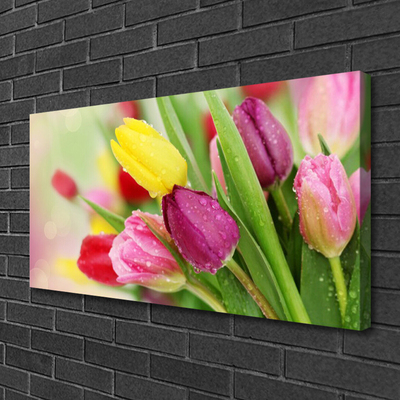 Canvas Kunstdruck Tulpen Pflanzen