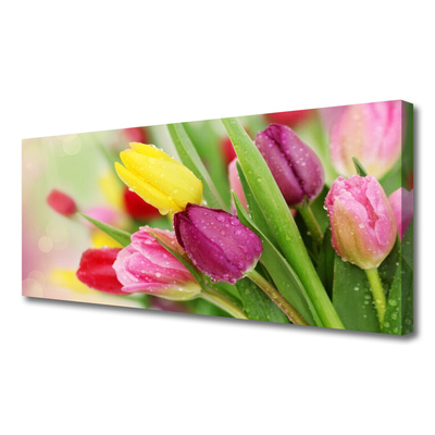 Canvas Kunstdruck Tulpen Pflanzen