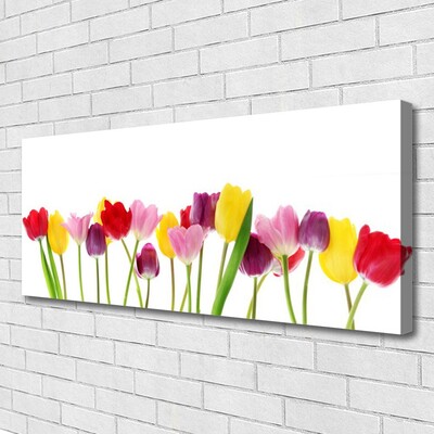 Canvas Kunstdruck Tulpen Pflanzen